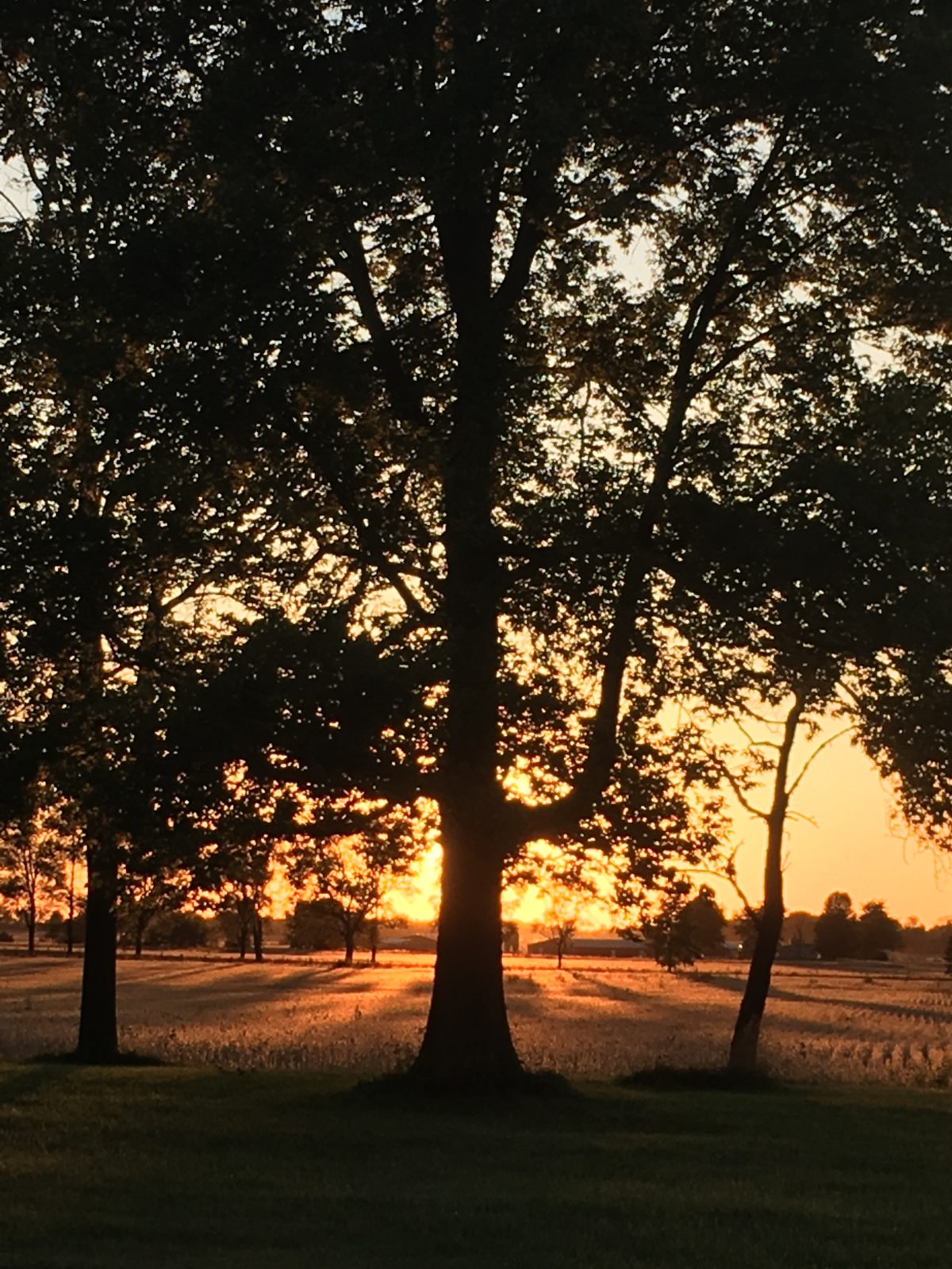 Season of Preparation