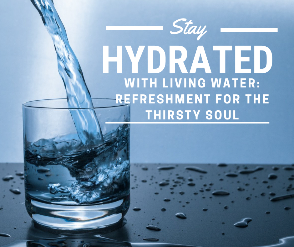 Living Water: Refreshment for the Thirsty Soul - Suzanne Montgomery