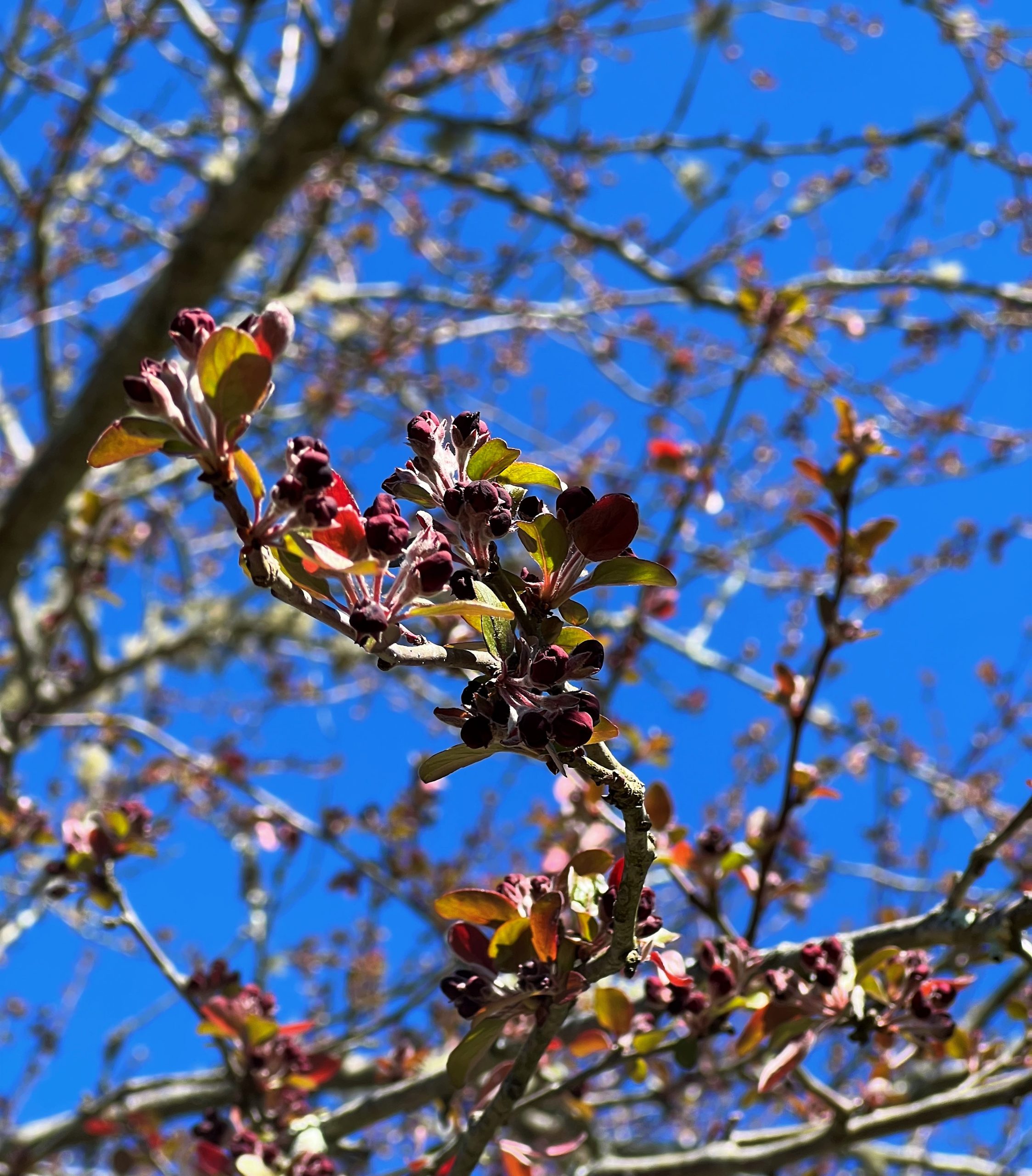 Ready, Set . . . Wait: Cultivating the Tender Art of Patience