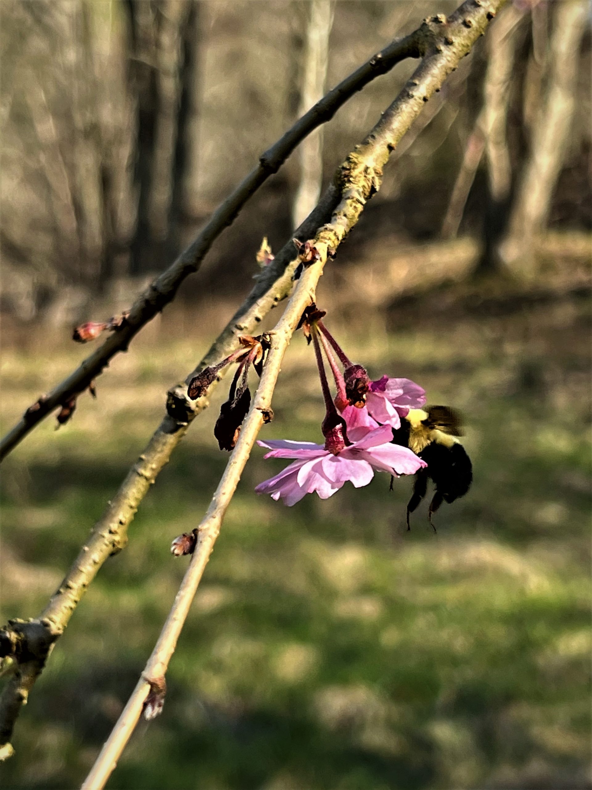 Hidden Treasures in Small Packages