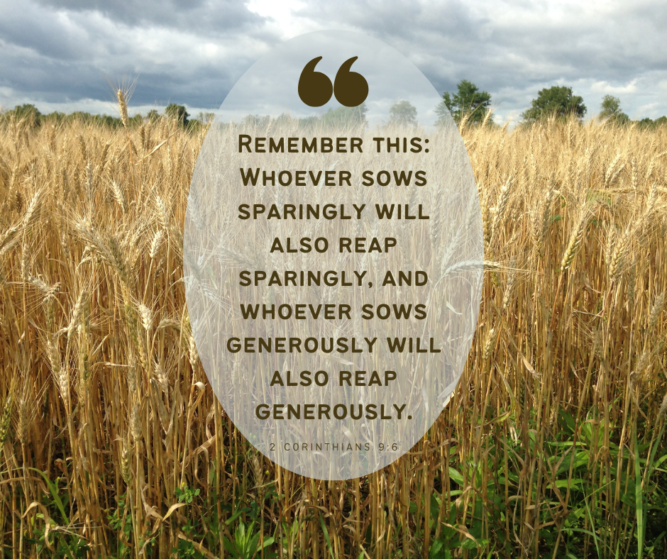 Sow Generously and Wisely for a Spirit Filled Life