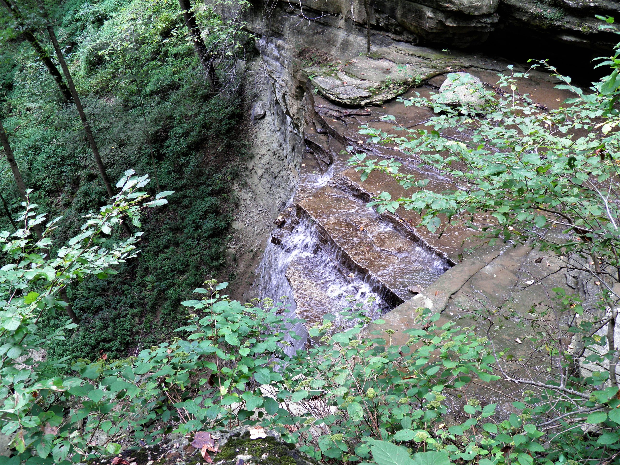 Trust Jesus With Your ‘What Ifs’