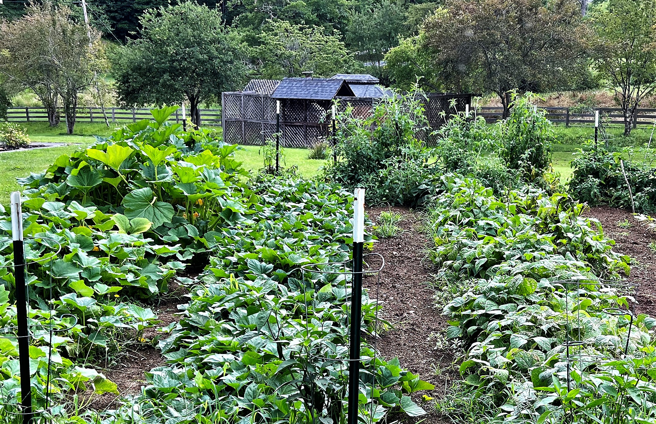 Cultivate a Mindset of Joyful Abundance