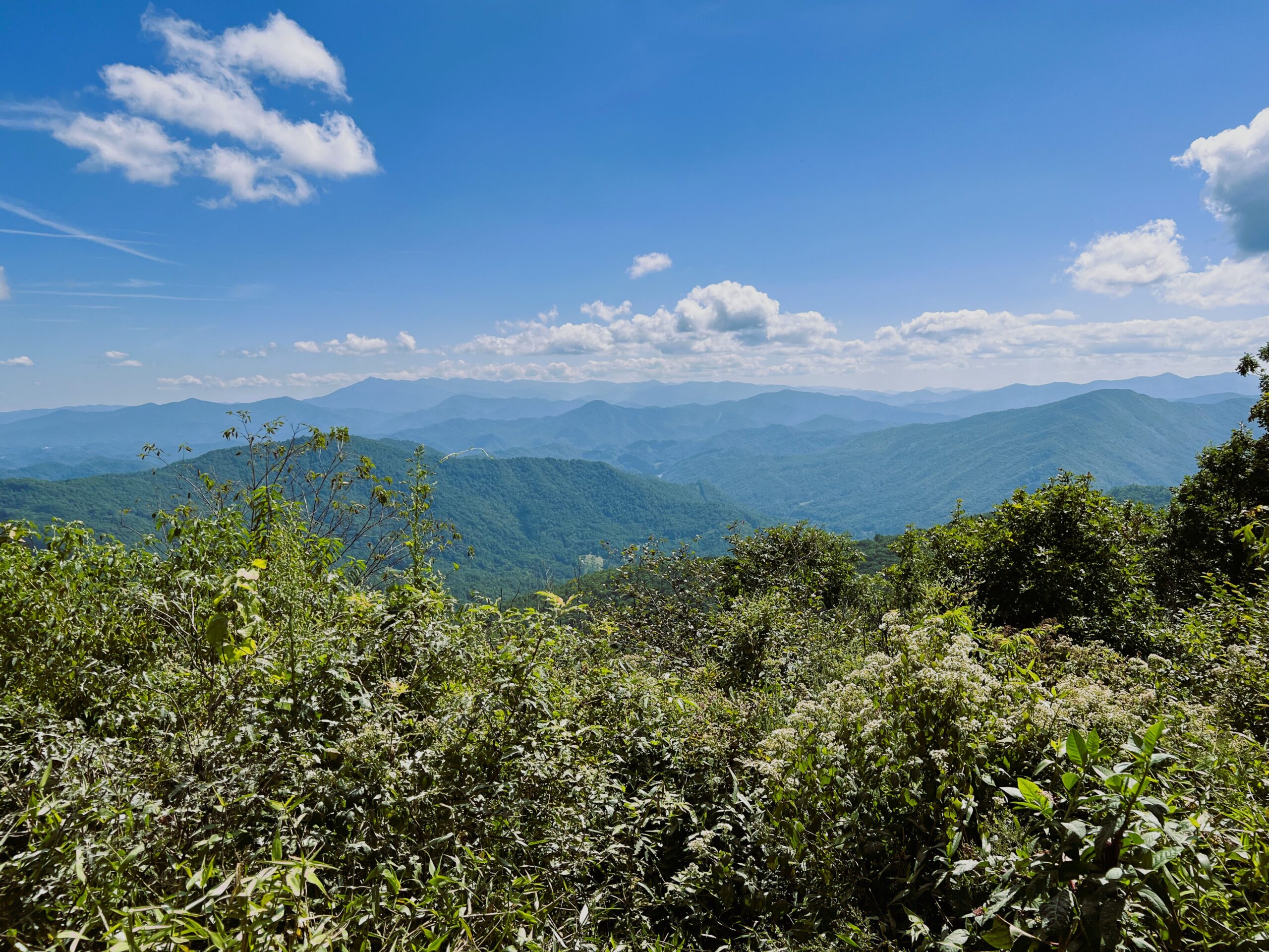 I Think I Can: A Mindset of Confidence