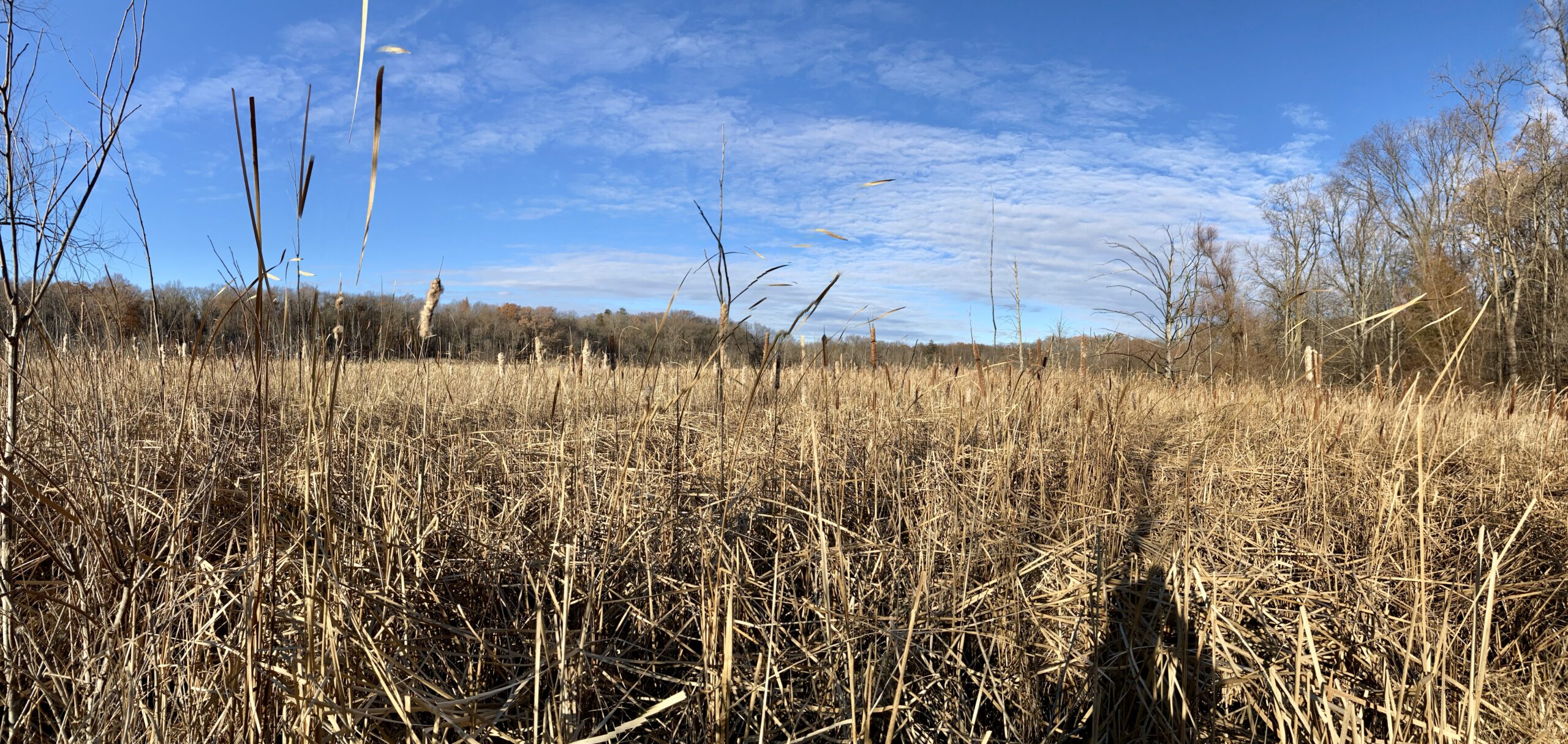 How To Respond When Thankfulness Doesn’t Come Easy