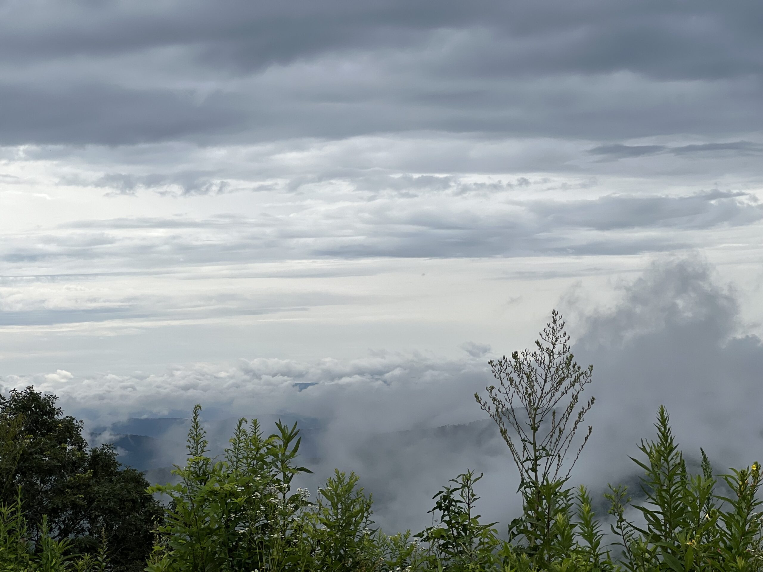 Coeurageous—Moved by the Heart to Live and Act Fearlessly