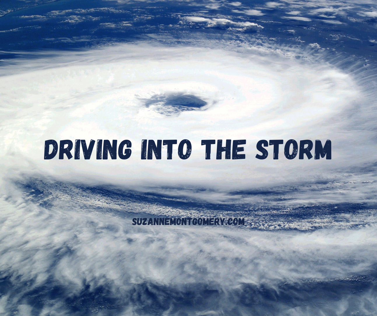 Driving Into the Storm: A Hurricane Story