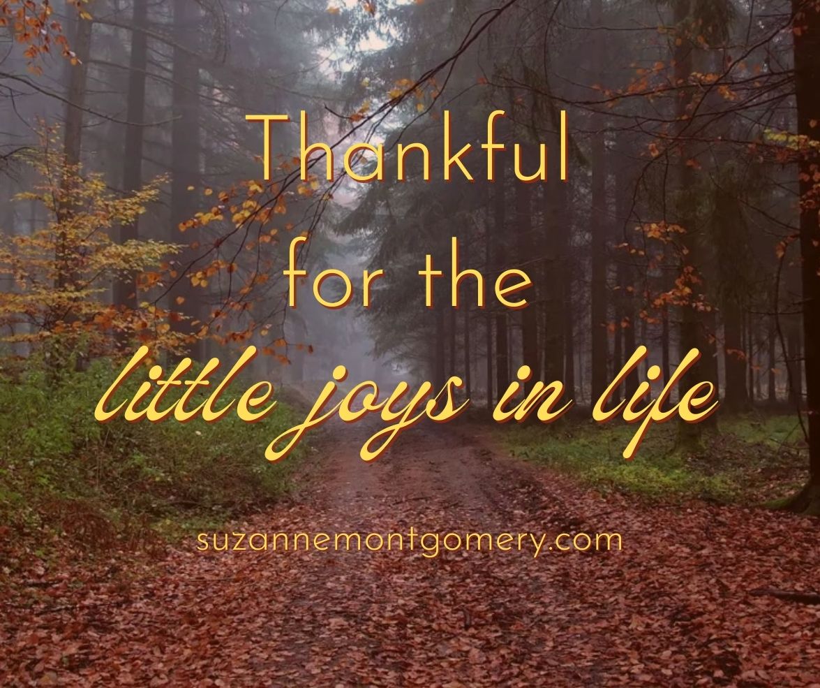 Thankful for the Little Joys in Life