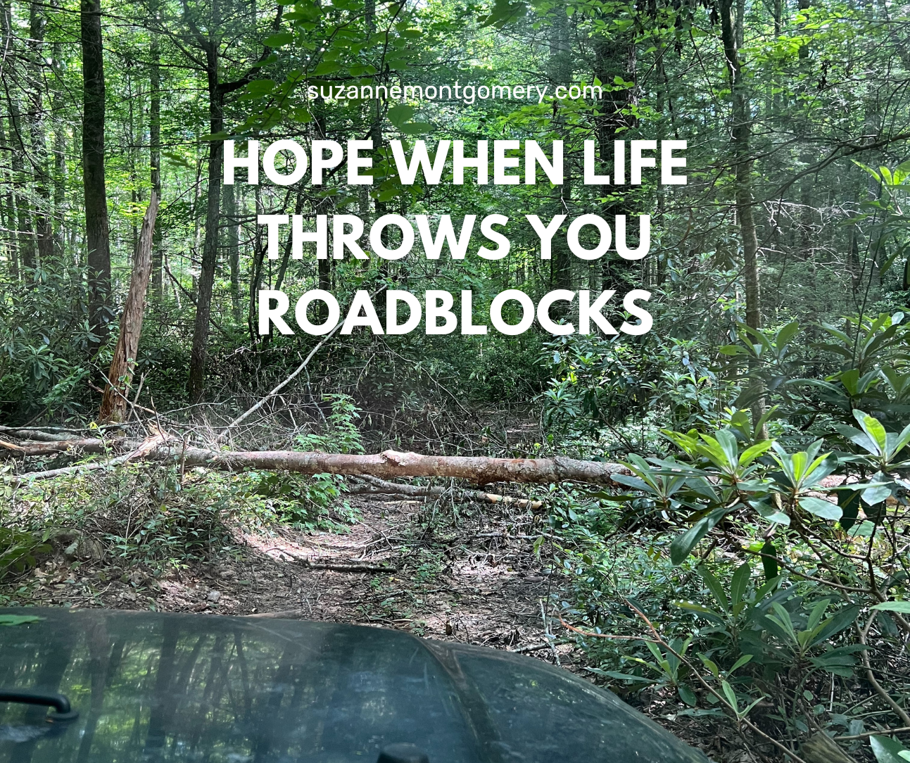 Hope When Life Throws You Roadblocks