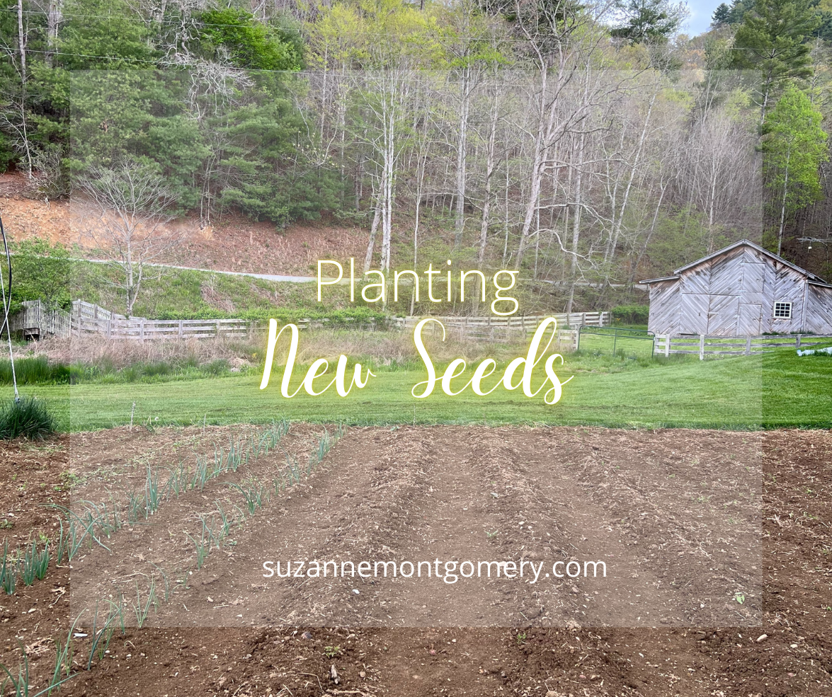 Planting New Seeds When the Old Don’t Sprout