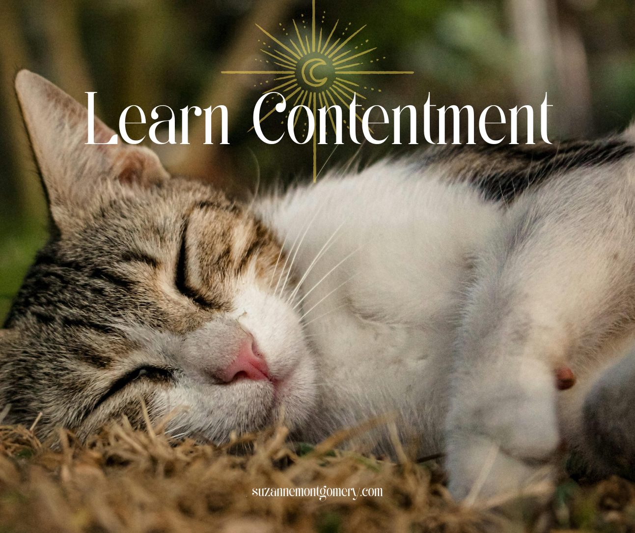 If You Want to Overcome Anxiety—Learn Contentment
