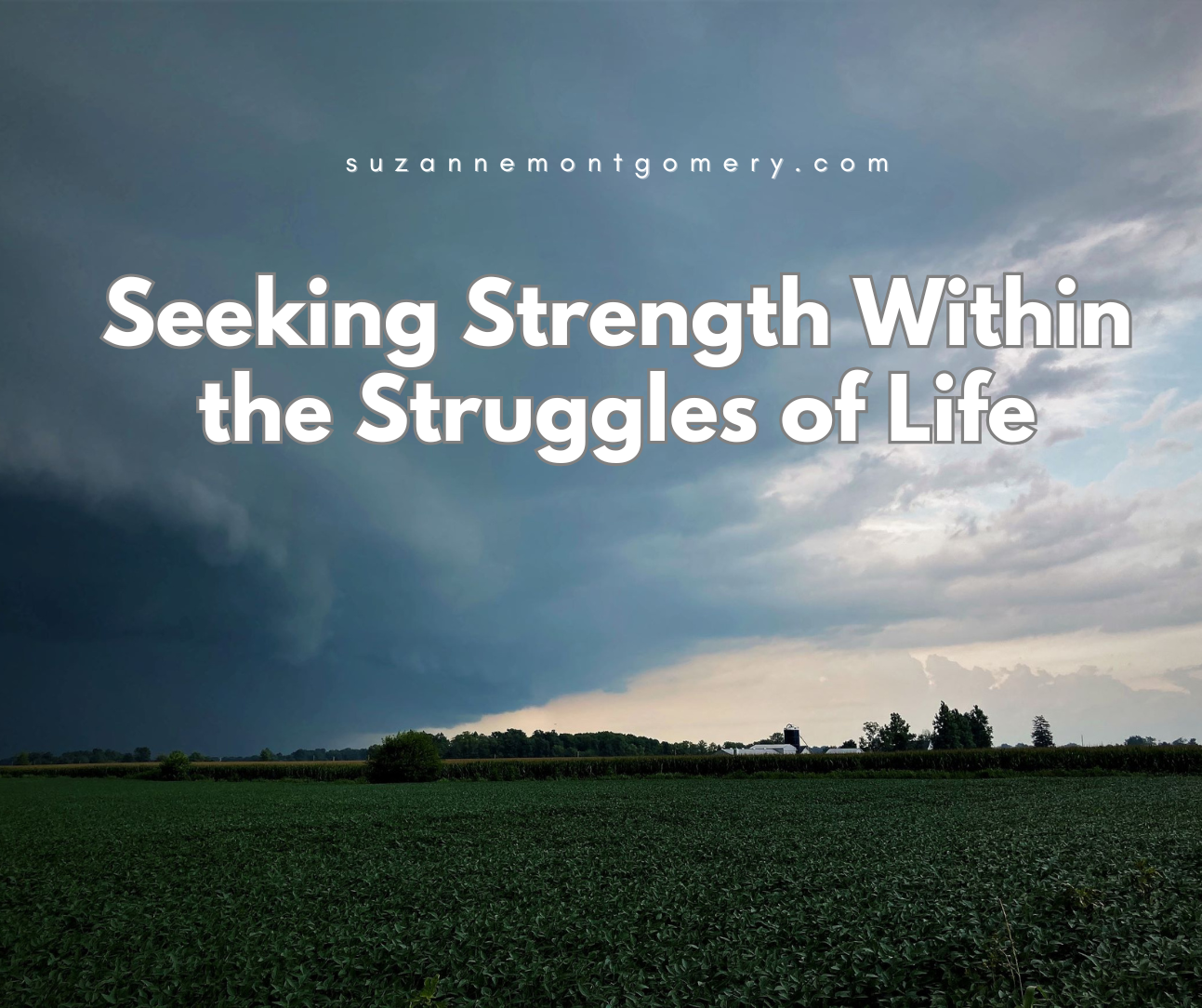 Seeking Strength Within the Struggles of Life